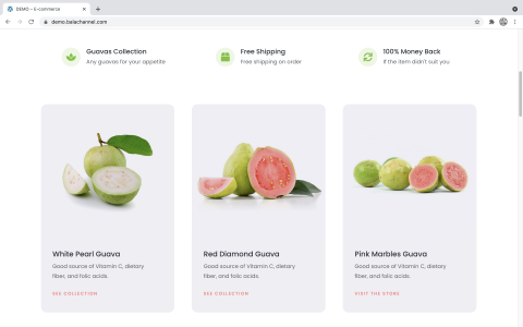 芭樂頻道 - 範例網站 - 網站預覽