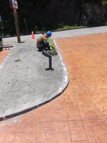 佑聖園藝 - 草皮鋪設