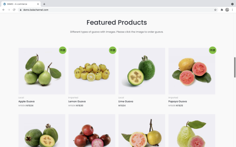 芭樂頻道 - 範例網站 - 網站預覽