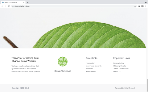 芭樂頻道 - 範例網站 - 網站預覽