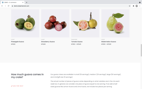 芭樂頻道 - 範例網站 - 網站預覽