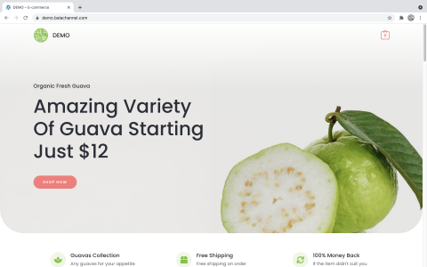 芭樂頻道 - 範例網站 - 網站預覽