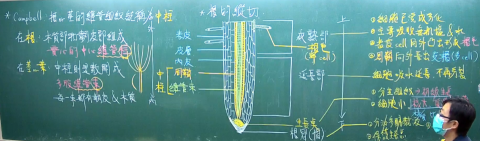 小蟲的自然科學教室（線上/實體授課） - 構造、功能、機制清晰呈現不馬虎，無論是線上授課或實體課程，將補習班的專業呈現給你
