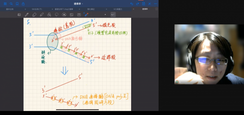 小蟲的自然科學教室（線上/實體授課） - 生物科學習重視圖形理解，生命運作的機制若沒有搭配圖片來學習，只會變成沒有脈絡的文字背誦