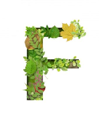 卓品岑 - Photoshop
合成特效