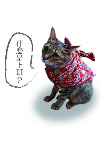 質坊個人工作室 - 圖片去背後製