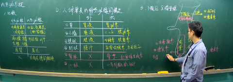 小蟲的自然科學教室（線上/實體授課） - 統整比較是學生物必備技能
