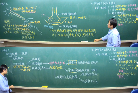 小蟲的自然科學教室（線上/實體授課） - 