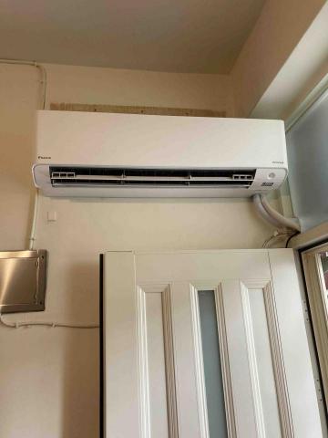 徐欣男 - 大金新橫綱