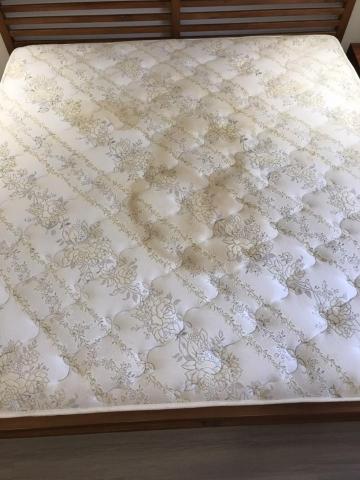 家立潔專業清潔 -  家立潔專業清潔 -