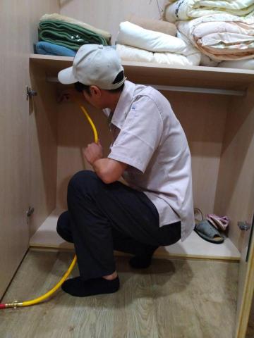 蟲鼠剋星 - 白蟻防治