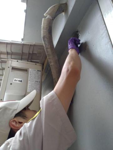 蟲鼠剋星 - 封堵孔洞防治鼠患