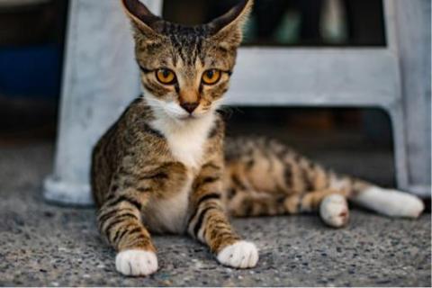 閆智翔 - 旅行時的新朋友