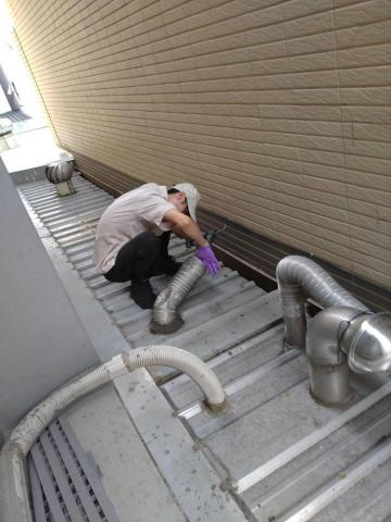 蟲鼠剋星 - 封堵孔洞防治鼠患