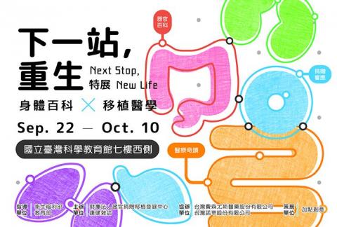 Linda Gu - Banner設計