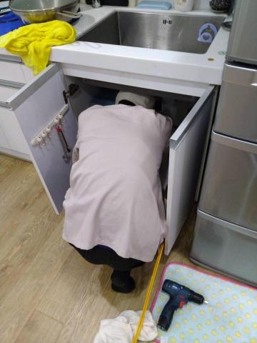 蟲鼠剋星 - 白蟻防治