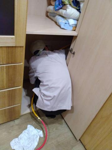 蟲鼠剋星 - 白蟻防治