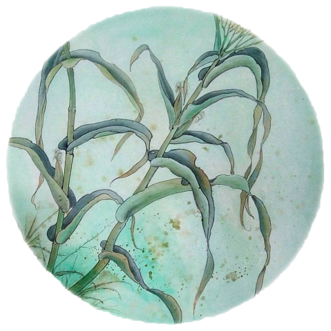 胡乃丹 - 題目:鄉間作物小品系列
尺寸:69x69cm                          年代: 2018
