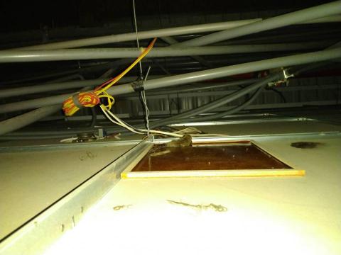 蟲鼠剋星 - 鼠患防治