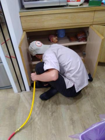 蟲鼠剋星 - 白蟻防治