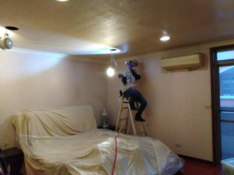 蟲鼠剋星 - 白蟻防治