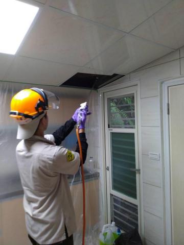 蟲鼠剋星 - 蟑螂防治