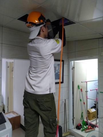 蟲鼠剋星 - 蟑螂防治