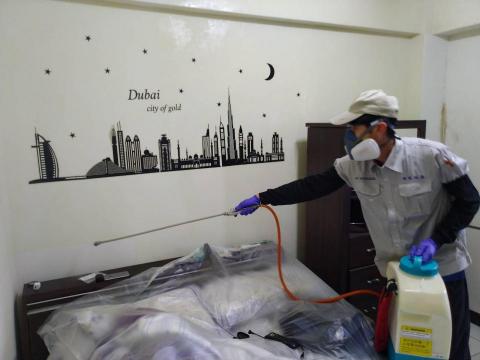 蟲鼠剋星 - 螞蟻防治