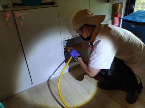 蟲鼠剋星 - 白蟻防治