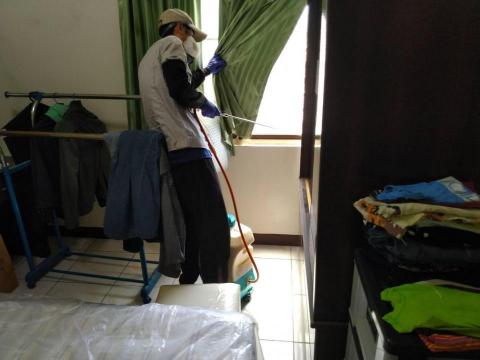 蟲鼠剋星 - 螞蟻防治