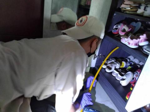 蟲鼠剋星 - 白蟻防治