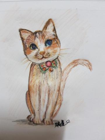 希希達 - 可愛貓咪手繪插圖