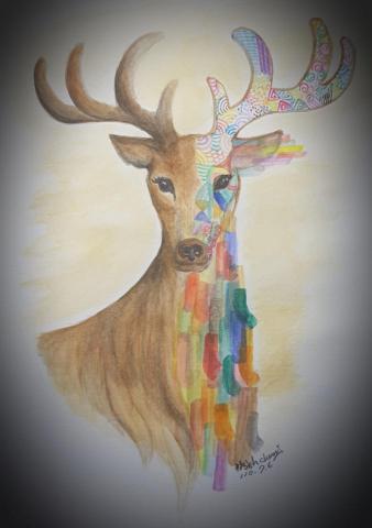 希希達 - 幾合創作風格手繪插圖