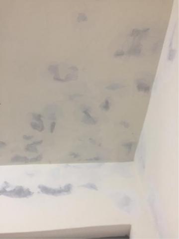 小張工作室 - 壁癌處理