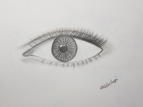 希希達 - 印象寫實手繪插圖