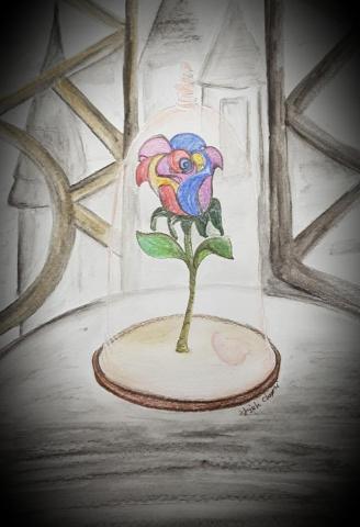 希希達 - 童話故事手繪插圖