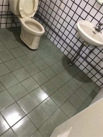 嘉欣居家清潔有限公司 - 嘉義套房廁所清潔