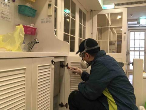 寶嘉環境科技有限公司 - 蟑螂防治