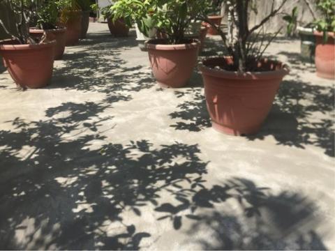 小張工作室 - 施工前（地面刨除）