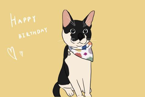 Oreo - 手繪寵物（明信片）