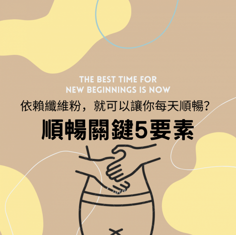 S studio - 知識型 社群貼文排版設計