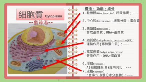 黃子瑄 - 生物自製教材範例-2