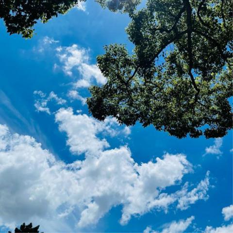 時蘊萱 - 攝影作品