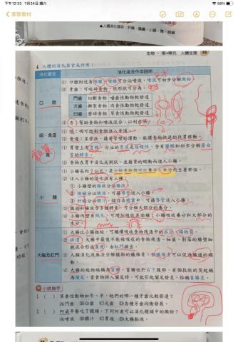 張心怡 - 線上家教以平板上課，用google meet螢幕共享的方式，呈現不會比實體教學差的優良線上家教體驗。