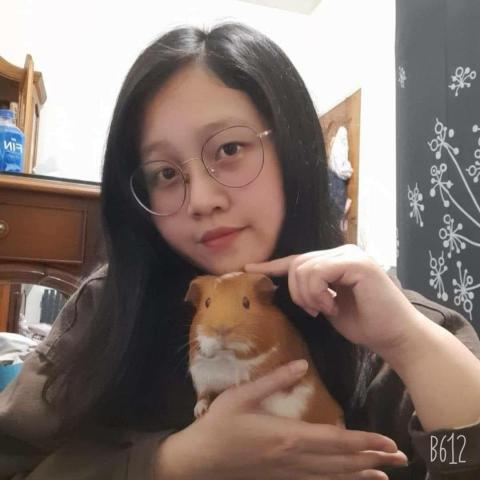 提供三民服務的專家林佳瑩