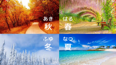 張柔(日文) - 圖像單字記憶