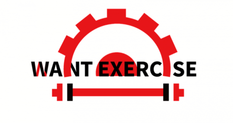 胡宇甄 - 此品牌為自我成長與健身網頁,利用品牌的英文字結合圖 形,上半部設計成齒輪,象徵腦袋的轉動如同齒輪的轉動, 下半部則使用啞鈴作為健身代表,以紅色象徵熱情,也增 加整體給人有力量的感覺。 胡宇甄 - 此品牌為自我成長與健身網頁,利用品牌的英文字結合圖 形,上半部設計成齒輪,象徵腦袋的轉動如同齒輪的轉動, 下半部則使用啞鈴作為健身代表,以紅色象徵熱情,也增 加整體給人有力量的感覺。