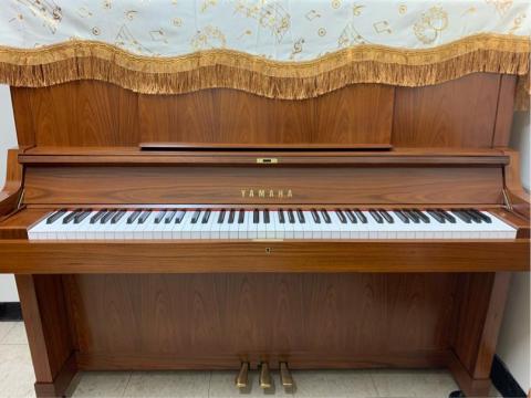 温温的音樂森林🌲 - 