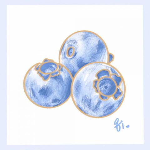 黃琪惠 - 藍莓插畫