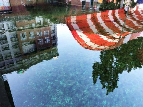 美鵝 - 攝影作品